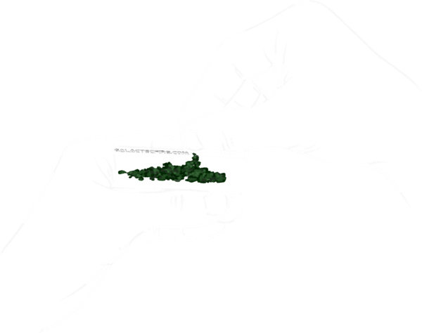 DOOBIE TIME T-SHIRT - Image 2